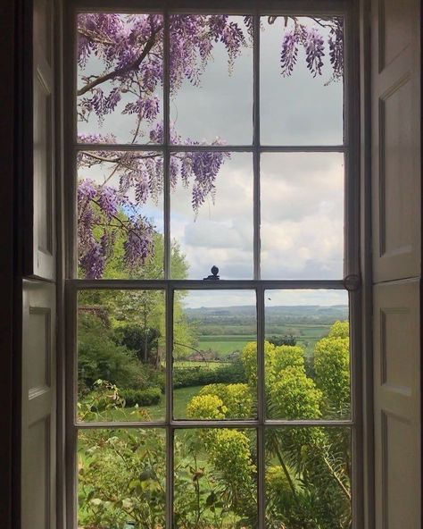 Dark Paradise, Instagram Content, Window View, Spring Aesthetic, Through The Window, English Countryside, To The End, Pretty Places, Wisteria