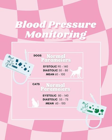 Vet Nurse School on Instagram: "BLOOD PRESSURE 🫀📈 …….. who loves a Doppler?!? ME 😍   Measuring a dog or cat’s blood pressure especially during anaesthesia can provide valuable information about their cardiovascular system and help recognise irregularities that need to be addressed and adjusted such as hypertension (high blood pressure) or hypotension (low blood pressure). 🫀   #vetnurse #vettech #vet #veterinary #vetclinic #vetcare #pets #vetmed #vettechlife #vetnurselife #vetnursestudent #vettechstudent #vetstudent #vetnursing #veterinarymedicine #vetnurseschool #veterinarynurse  #bloodpressure" Vet Tech Hacks, Veterinary Anaesthesia, Cat Veterinary, Vet Nursing, Vet Tech Student, Nurse School, Vet Nurse, Veterinary School, Vet Medicine