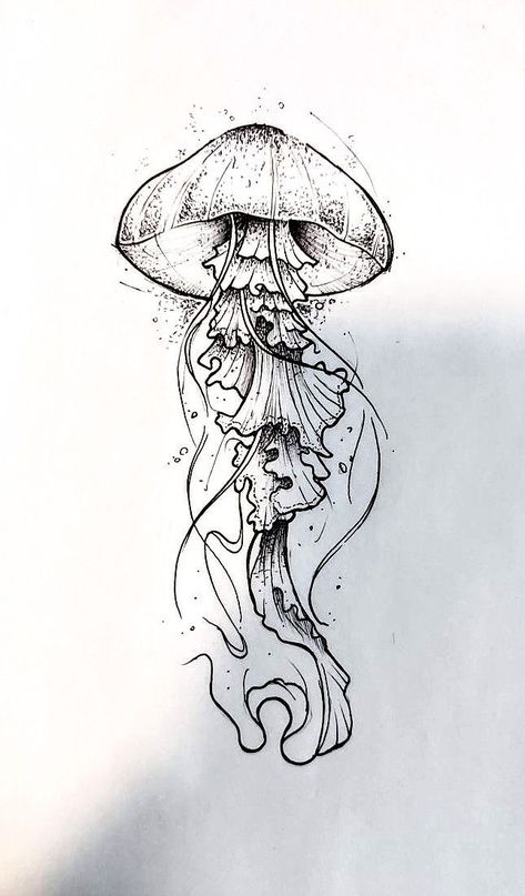 Tato Suku, Jellyfish Drawing, Letter Tattoo, Jellyfish Tattoo, Ocean Tattoos, Jellyfish Art, Výtvarné Reference, More Tattoo, Tattoo Portfolio