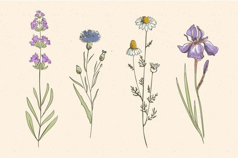 Botanical flowers | Fotos y Vectores gratis Field Flowers Drawing, Abstract Watercolor And Pen Art, Pattern Portfolio, Wildflower Drawing, Ecology Design, Doodle Art Flowers, Hand Drawn Flowers, Drawing Images, Arte Floral