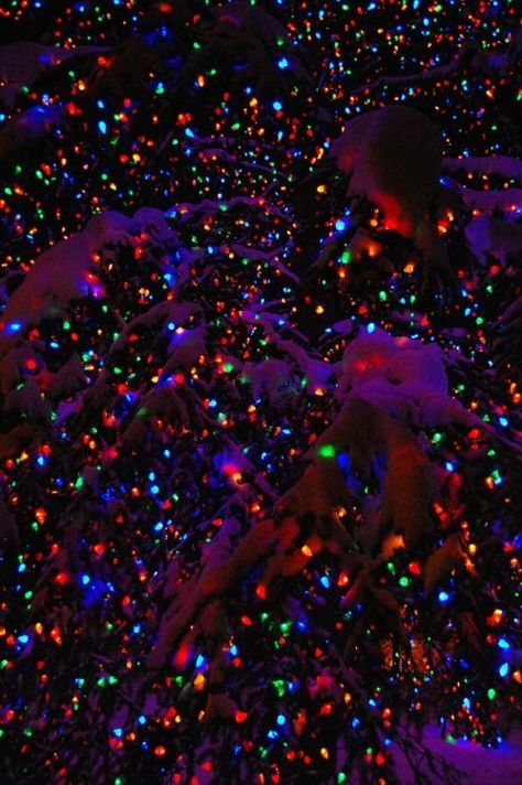 Christmas Pictures With Lights, Christmas Lights Wallpaper, Trippy Iphone Wallpaper, Wallpaper Natal, Wallpaper Christmas, Xmas Wallpaper, Christmas Aesthetic Wallpaper, Christmas Phone Wallpaper, Colorful Lights