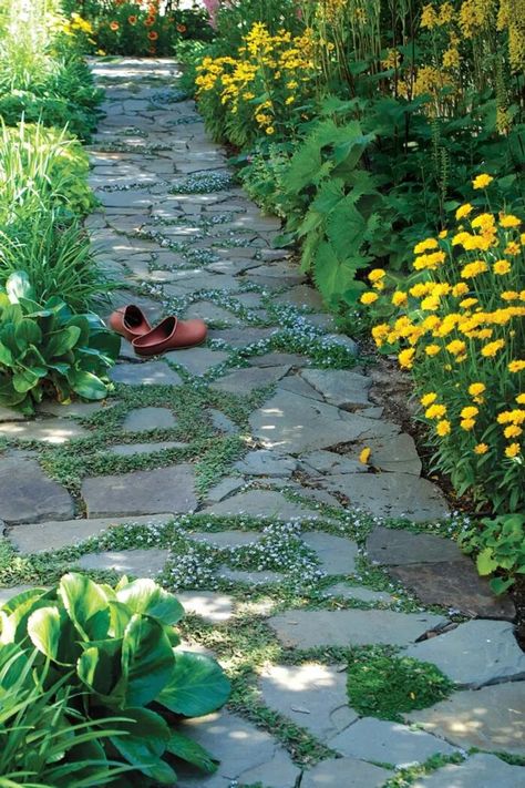 Flagstone Pathway, Backyard Walkway, Ground Covers, Garden Stepping Stones, Stone Walkway, Garden Walkway, Fine Gardening, Stone Path, Garden Pathway