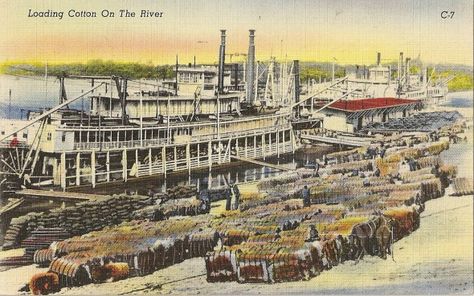 Loading Cotton on the River Bluff City, Memphis Tennessee, Memphis Tn, Cotton On, Vintage Linens, Colorful Pictures, Paris Skyline, Tennessee, Bathing Beauties