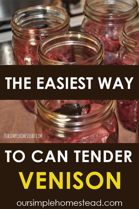 How To Can Venison, How To Can Deer Meat, Canning Deer Meat Recipes, Pressure Canning Venison, Canned Venison Recipes, Canning Deer Meat, Canned Deer Meat, Canning Venison, Canned Venison