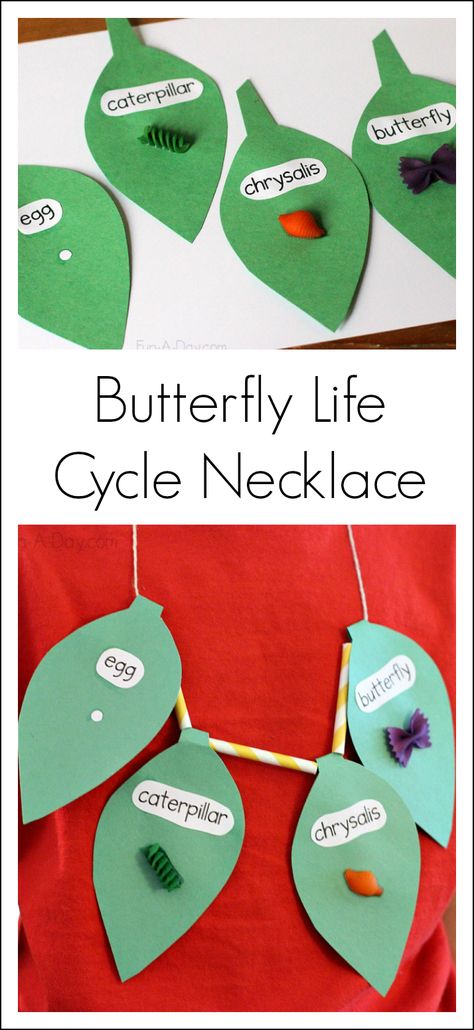 Butterfly Life Cycle Craft Necklace for Preschool and Kindergarten from Fun-a-Day Butterfly Life Cycle Craft, Life Cycle Craft, Craft Necklace, Insects Preschool, Bugs Preschool, Insects Theme, Theme Nature, Butterfly Life Cycle, Spring Preschool