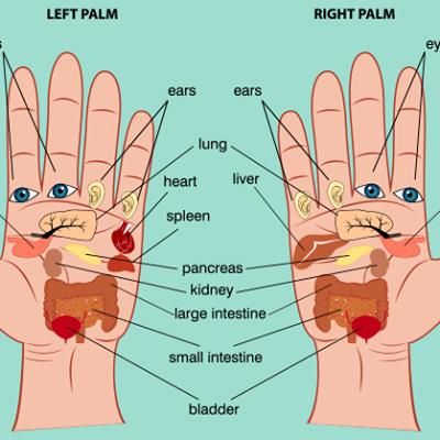 press these points on your palm to #relievePain. #Reflexology is considered a #holistic #Massage technique, that is, it focuses on the entire body to restore balance. Each organ, gland or body part corresponds to areas in both the hand and foot. When pressure is applied to the points on the hands or feet, it is believed to activate specific pressure sensors that stimulate the internal organs which each point is connected to. The perception of #pressureByFeet and hands taps into the energetic #re Reflexology Foot Chart, Hand Reflexology, Reflexology Chart, Reflexology Massage, Psoas Muscle, Hand Pain, Foot Reflexology, Sciatica Pain, Hand Massage