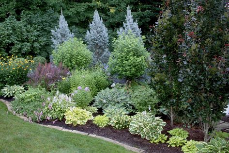 Foliage is king here. Variegated hostas start the show in the front, while blue spruce (Picea pungens, Zones 3–8) makes a dramatic silver-blue backdrop. To the right, columnar dark-leaved beeches (Fagus sylvatica, Zones 4–8; probably the cultivar ‘Dawyck Purple’) contrast beautifully with the variegated and silvery-blue foliage. Columnar varieties of trees, which grow tall and narrow instead of wide and spreading, are a great choice for small gardens. Small Garden Ideas For Kids, Acreage Landscaping, Privacy Landscaping Backyard, Minnesota Garden, Garden Ideas For Kids, Evergreen Landscape, Minnesota Landscaping, Conifers Garden, Small City Garden