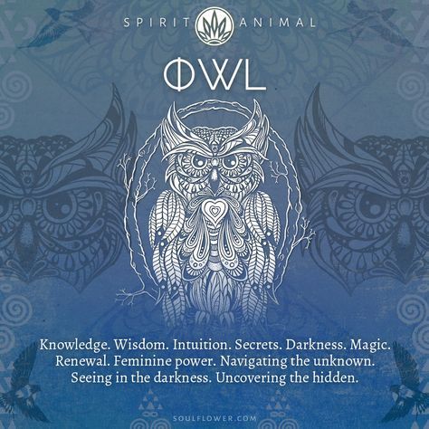 Animal Meeting, Animal Totem Spirit Guides, Owl Symbolism, Find Your Spirit Animal, Spirit Animal Meaning, Animal Meanings, Spiritual Animal, Animal Spirit Guides, Animal Medicine