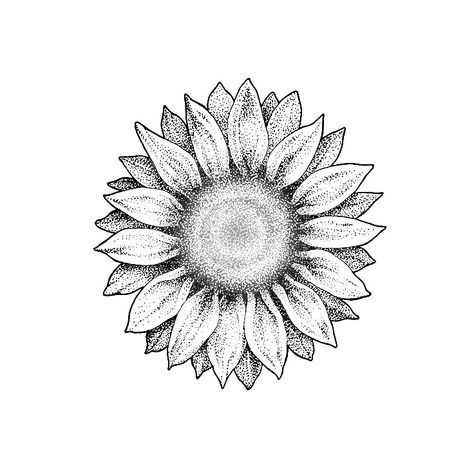 Sunflower Tattoo Simple, Best Cover Up Tattoos, Mujeres Tattoo, Daisy Tattoo, Spine Tattoos For Women, Diy Abstract Canvas Art, Tattoo Portfolio, Spine Tattoos, Sunflower Tattoo