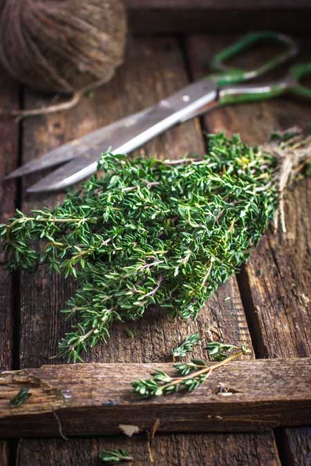 Thyme Plant, Growing Rosemary, Tattoo Plant, Mocha Frappe, Cooking Herbs, Thyme Recipes, Rosemary Plant, Food Net, Kitchen Herbs