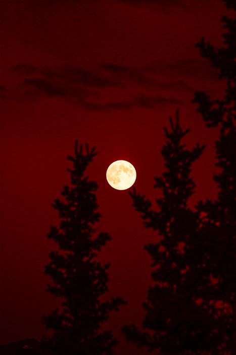 Moon Red Aesthetic, Love Red Aesthetic, Maroon Aesthetic, Imagenes Dark, Red Aesthetic Grunge, Red And Black Wallpaper, Dark Red Wallpaper, Rainbow Aesthetic, Providence Ri