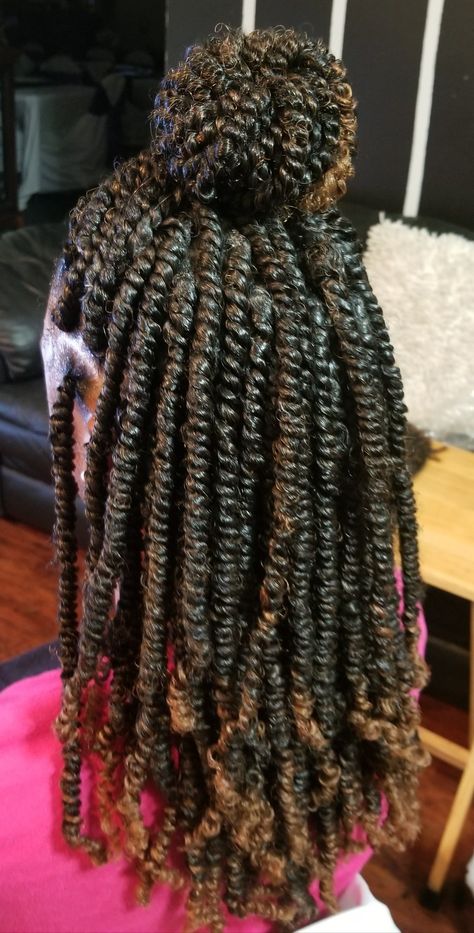 Hair Websites, Braids Styling, Cabello Afro Natural, Hair 4c, Twisted Hair, Short Curly Hairstyles, Twist Styles, Twist Braid Hairstyles, Pelo Afro