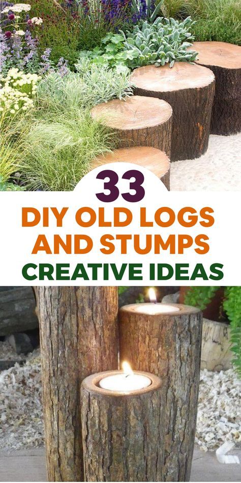 Enhance your outdoor space with a rustic feel by upcycling old logs and stumps in creative DIY projects. Hollow out a log to craft a one-of-a-kind plant stand, perfect for displaying your favorite greens. Design an enchanting fairy garden using small stumps and logs adorned with miniature plants and accessories. Transform a large stump into a whimsical mushroom sculpture by painting it with red and white polka dots. Chicken Coop Designs Diy, Stump Decor, Tree Stump Decor, Clematis Trellis, Log Decor, Tree Stump Ideas, Stump Ideas, Mushroom Sculpture, Wood Log Crafts