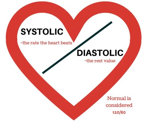 Descriptions on systolic and diastolic pressure and what is considered the normal rate Systole And Diastole, Systolic And Diastolic, Pharmacology Nursing, Nursing Study, Pharmacology, In A Heartbeat, Anatomy, Nursing, Pie Chart