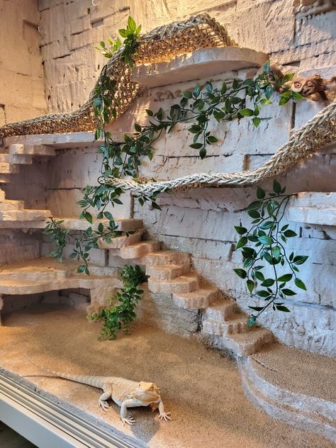 Lizard Enclosure Diy, Tank Ideas Reptile, Lizard Room Ideas, Built In Reptile Enclosure, Reptile Cabinet Diy, Tall Bearded Dragon Enclosure, Reptile Room Ideas Diy, Beard Dragon Terrarium, Reptile Terrarium Ideas Diy