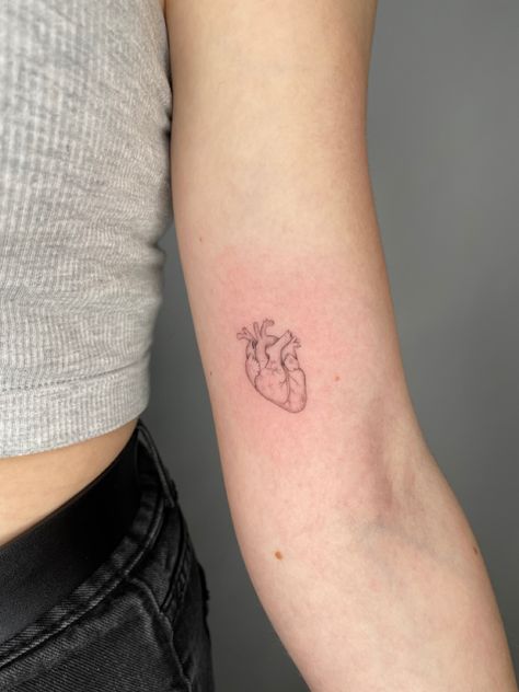 small tiny anatomical heart tattoo delicate Tiny Anatomical Heart Tattoo, Human Heart Tattoo Small, Fine Line Anatomical Heart Tattoo, Heart Tattoo Placement Ideas, Anatomically Correct Heart Tattoo, Heart Tattoo Anatomical, Anatomic Heart Tattoo, Heart Organ Tattoo, Tattoo Placement Ideas Arm