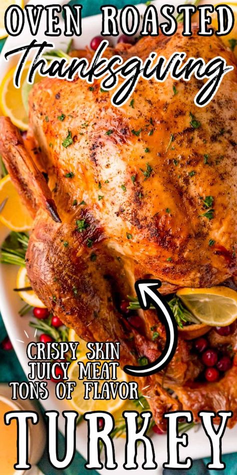 Turkey Dinner Recipes Thanksgiving, Roast Turkey Recipes Thanksgiving, Juicy Turkey Recipe, Easy Turkey Recipes Thanksgiving, Turkey Rub Recipes, Easy Thanksgiving Turkey, Best Thanksgiving Turkey Recipe, Perfect Roast Turkey, Whole Turkey Recipes