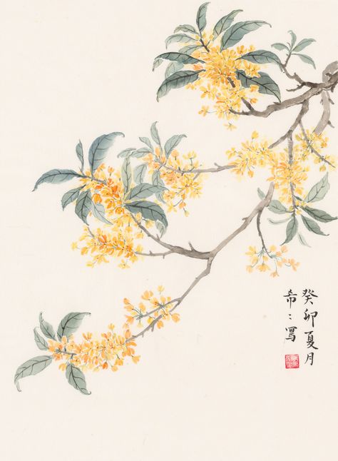 Osmanthus Flower Tattoo, Chinese Floral Painting, Chinese Tree Art, Osmanthus Tattoo, Chinese Flower Painting, Chinese Painting Traditional, Chinese Blossom, Osmanthus Flower, Chinese Tree