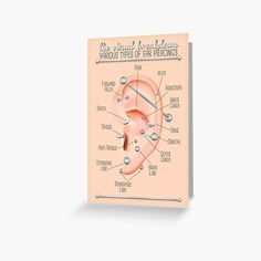 Ear Piercing Labels, Ear Piercings Placement Chart Classy, Cool Piercings Ears, Names Of Ear Piercings, All Piercings Types, Eat Piercings Chart, Different Ear Piercings Chart, Best Ear Piercings, Peircings Name Chart