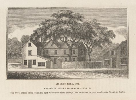 Black Sheep Squadron, Liberty Tree, Famous Trees, Boston History, Essex Street, La Fayette, Urban Tree, Elm Tree, Boston Common