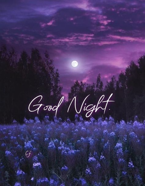 Goid Night, Romantic Good Night Image, Good Night Qoutes, New Year Wishes Images, Good Night Massage, Good Night Love Quotes, Good Night Love Messages, Good Night Flowers, Good Night Love Images