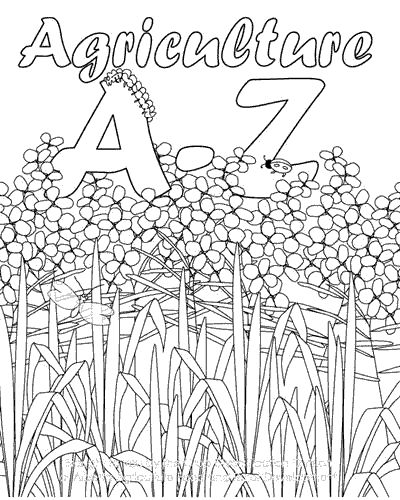 A to Z Agriculture Coloring book printable. Excellent for a 4-H or FFA club to print and hand out or any group to use for an agriculture education activity. Check it out it is free. Agriculture Art Projects, Intro To Agriculture Activities, Ag Education Lesson Plans, Ag In The Classroom Activities, Elementary Agriculture, Agriculture Crafts, Agriculture Education Activities, Ag Activities, Ag In The Classroom