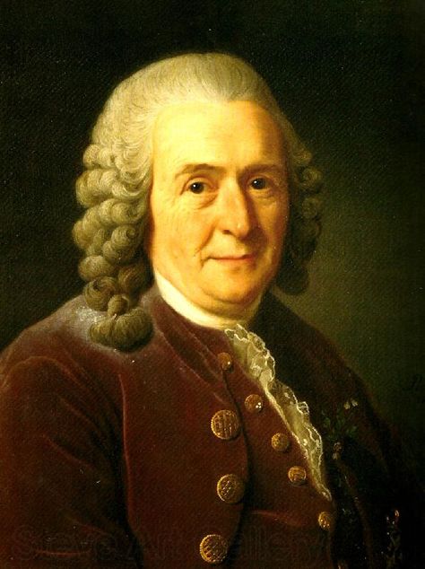 Carl von Linnè aka Carolus Linnaeus (painting by Alexander Roslin) Classifying Animals, Carl Linnaeus, Uppsala University, Sokcho, Classical Conversations, Uppsala, Human Species, Zoology, Life Science