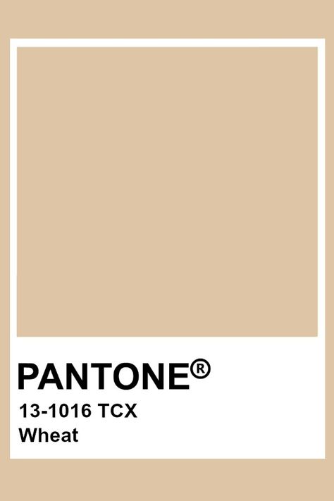 PMS 13-1016 TCX / Wheat / #dec5a5 Hex Color Code The hexadecimal color code #dec5a5 is a light shade of brown. - Encycolorpedia Brown Pantone Shades, Light Brown Colour Palette, Light Brown Pantone, Pantone Brown Shades, Brown Pantone Color, Wheat Color Palette, Light Brown Color Palette, Tan Pantone, Pantone Brown