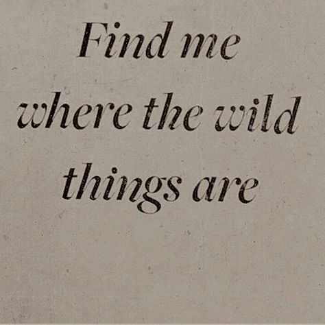 Wild Things, Quote Aesthetic, Pretty Words, Pretty Quotes, Thoughts Quotes, Meaningful Quotes, The Words, Beautiful Words, Book Quotes