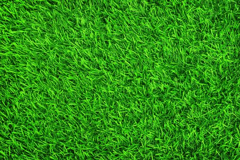 green lawn grass #grass #background #lawn #green #summer #grass #green #5K #wallpaper #hdwallpaper #desktop Solar Panel Technology, Garden Layout Vegetable, Floor Wallpaper, Best Solar Panels, Gardening Books, Solar Technology, Diy Solar, Artificial Turf, Grass Seed