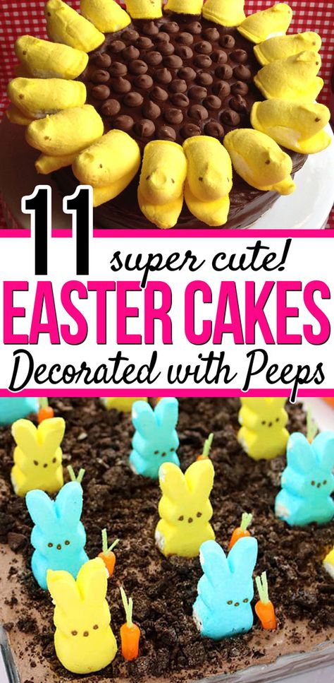 Easter Peeps Dessert Ideas, Sunflower Cake With Peeps, Sunflower Peeps Cake, Peeps Sunflower Cake, Peeps Easter Cake, Peep Easter Cake, Peeps Dessert Recipes, Easter Peeps Cake, Easter Peep Cake Ideas