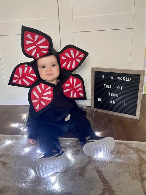 Look at my 11 months old picture. The cutest demogorgon ever 💜 Onesie: shein Petals: made of a fabric from the dollar store 😂 #strangerthings #demogorgon #11months 11 Month Old Baby Photoshoot Ideas, 11 Month Milestones Photo Ideas, Baby 11 Months Photography, 11 Months Baby Photoshoot Ideas, 11 Month Baby Photo Ideas, Creative Monthly Baby Photos, Milestone Ideas, Mommy Son Outfits, 11 Month Old Baby