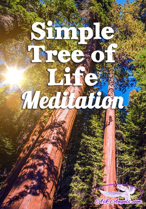 Tree of Life Meditation Tree Meditation, Simple Tree Of Life, Balancing Chakras, Grounding Meditation, Spiritual Space, Tree Quotes, Massage Business, Meditation Exercises, Meditation Rooms