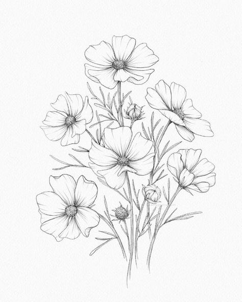 Closed Flower Drawing, Cosmo Flower Drawing, Cosmo Tattoo Flower, Cosmos Flowers Drawing, Cosmo Flower Tattoo, Cosmos Drawing, Project Sketchbook, Flower Colouring Pages, Drawings Of Flowers