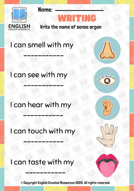 The Five Senses Worksheets 5 Senses Worksheet, Five Senses Worksheet, Nursery Worksheets, Senses Preschool, Materi Bahasa Inggris, English Worksheets For Kindergarten, مشروعات العلوم, Grammar For Kids, Kindergarten Reading Activities