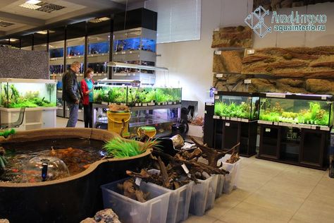 Pet Store Display, Aquarium Store, Fish Gallery, Reptile House, Reptile Room, Fishing Room, Store Layout, Store Displays, Concrete Jungle