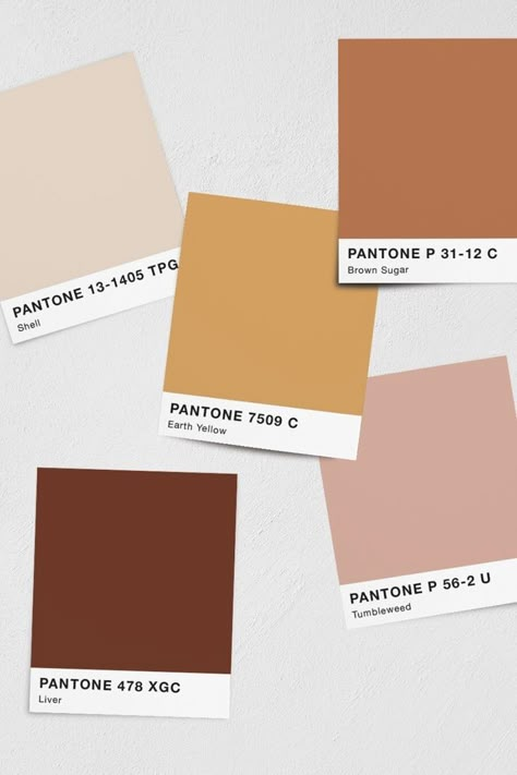 Aesthetic Moodboard Inspiration, Palettes Color, Brand Color Palette, Color Palette Design, Shades Of Brown, Color Inspo, Top Five, Aesthetic Colors, Colour Schemes