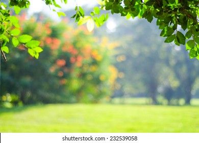 Blur garden tree nature background with bokeh light, Blurred spring green garden, park in spring and summer, Blur nature outdoor abstract background Aesthetic Garden Background, Blurry Painting, 16:9 Wallpaper Backgrounds, Blur Nature, Blur Picture, Canvas Background, Green Background Video, Blur Background In Photoshop, Bokeh Background