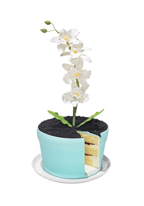 Plant Cakes Ideas, Flower Pot Cake, Orchid Cake, Unique Treats, Vanilla Mousse, Pot Cakes, Floral Cakes, Gravity Cake, Sweet Bites