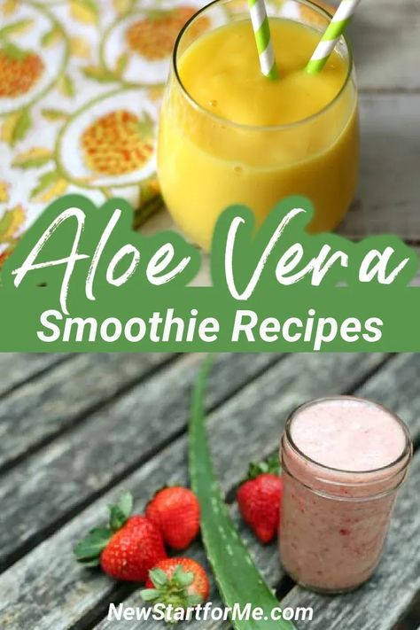 There are smoothie recipes with aloe vera that could help you get all of the health benefits from the plant with the added flavors of a smoothie. Aloe Vera Smoothie, Aloe Vera Juice Recipes, Antioxidant Smoothie, Aloe Vera Drink, Healthy Nutrition Plan, Cooking Homemade, Ginger Recipes, 140 Pounds, Berry Smoothie