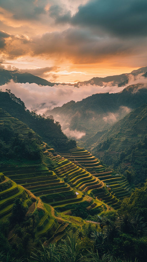 A beautiful terraced landscape in the Philippines at sunset, showcasing the stunning Banaue Rice Terraces with lush greenery and mist-covered mountains in the background. Philippines Best Places, Philippines Mountains, Places In Philippines, Beautiful Places In The Philippines, Philippines Landscape, Philippines Places, Philippines Nature, Philippines Aesthetic, Places In The Philippines