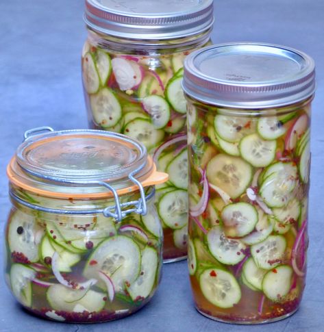 Pickles Cucumbers And Onions, Pickled Mini Cucumbers, Pickled Sliced Cucumbers, Pickled Red Onions And Cucumbers, Pickled Cucumbers And Onions Vinegar, Quick Pickled Cucumbers And Onions, Pickled Onions And Cucumbers, What To Do With Cucumbers, Mini Cucumber Recipes