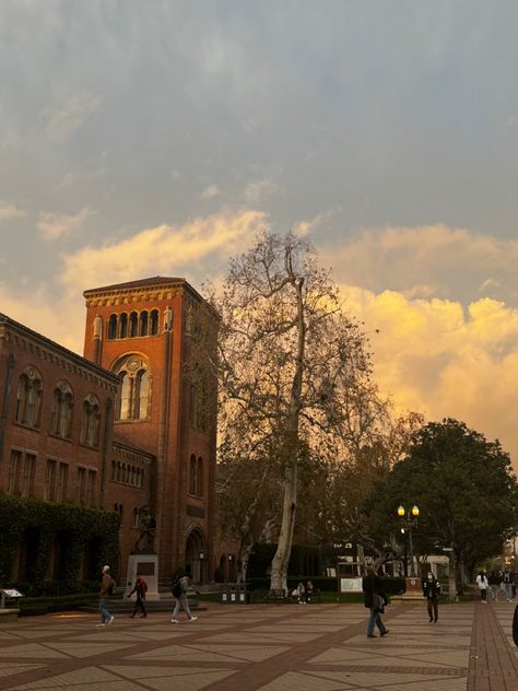 Usc Campus Aesthetic, University Of Southern California Aesthetic, Usc Aesthetic Campus, Collage Campus, Usc Aesthetic, College Manifestations, Collage Sunset, Stanford University Campus, Usc Campus