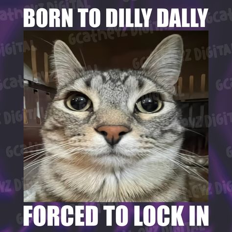 Born To Be Forced To Be, Born To Dilly Dally Forced To, Born To Dilly Dally, Born To Forced To, Rgb Background, Hope Core, Add Humor, Dilly Dally, Cat Png