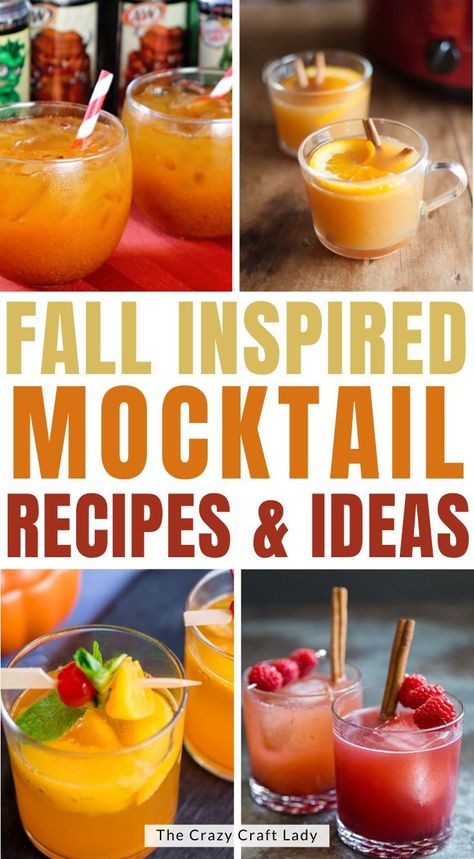 Fall Virgin Cocktails, Fall Brunch Beverages, Fall Wedding Drinks Non Alcoholic, Best Mocktails For Fall, Virgin Fall Cocktails, Mabon Recipes Drinks, Fall Wedding Mocktail Recipe, Spiced Apple Ginger Fizz Mocktail, Infused Water Recipes Party Fall