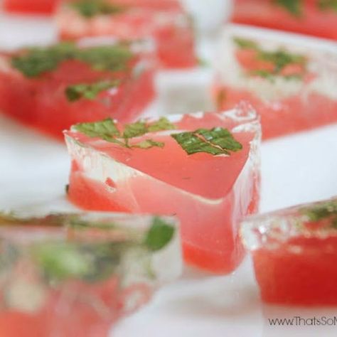 Best Jello Shot Recipes - Watermelon Mojito Jell-O Shots - Easy Jello Shots Recipe Ideas with Vodka, Strawberry, Tequila, Rum, Jolly Rancher and Creative Alcohol - Unique and Fun Drinks for Parties like Whiskey Fireball, Fall Halloween Versions, Malibu, 4th of July, Birthday, Summer, Christmas and Birthdays #jelloshots #partydrinks #drinkrecipes Mojito Jello Shots, Tequila Jello Shots, Your Mouth, Best Jello Shots, Jello Pudding Shots, Jelly Shots, Watermelon Mojito, Pudding Shots, Jello Shot Recipes