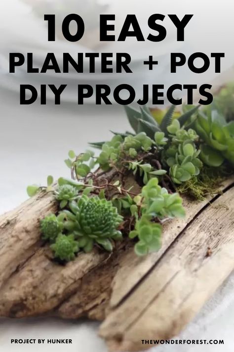 10 DIY Planters and Flower Pots You Can Make at Home Flower Pot Diy, Diy Planters Indoor, Garden Diy Projects, Wonder Forest, Pot Diy, Small Tea Cups, Planter Project, Diy Concrete Planters, Making Plant Pots