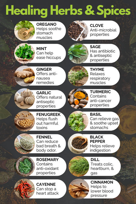 Herbs and spices have been used for centuries to treat a wide variety of ailments. In recent years, there has been a renewed interest in these powerful plants and their potential health benefits.  Check out the link for a comprehensive list of articles that provide an overview of the most popular herbs and spices, their uses, and the science behind their efficacy. All Spice Benefits, Herbs Benefits Medicinal Plants, Herbs And Spices Health Benefits, Different Herbs And Their Uses, Herbs For Wellness, Benefits Of Herbs And Spices, Herbs Health Benefits, Medical Herbs And Their Uses, Health Remedies Tips