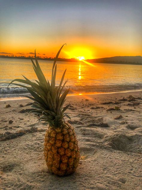 Aminé Aesthetic, Pineapple Pictures, Dope Wallpaper Iphone, Beach Wallpaper Iphone, Pineapple Wallpaper, Caribbean Wedding, Scenery Pictures, Summer Wallpaper, Summer Cocktails