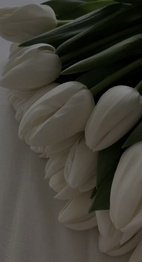 Vintage Flowers Wallpaper, Boquette Flowers, Whatsapp Wallpaper, Nothing But Flowers, Plant Wallpaper, Flower Therapy, White Tulips, Beautiful Bouquet Of Flowers, Iphone Wallpaper Girly